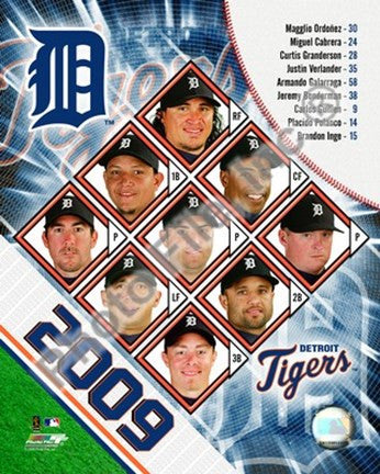 2009 Tigers Composite