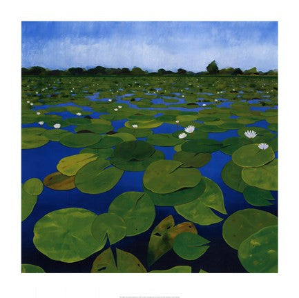 Waterlilies