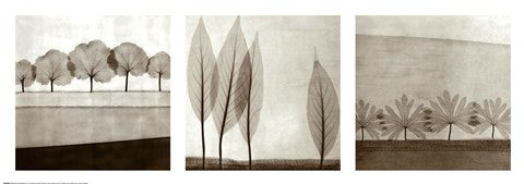 Leaf Landscape Triptych