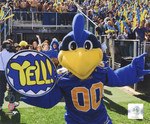 YoUDee Mascot of the University of Delaware Blue Hens, 2008