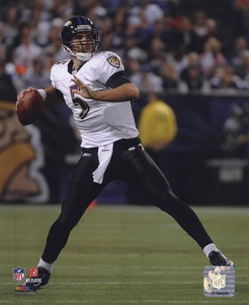 Joe Flacco 2009 Action