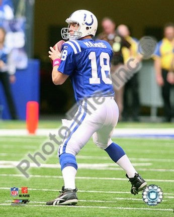 Peyton Manning 2009 Action