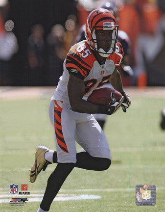 Chad Ochocinco 2009 Action