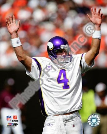 Brett Favre 2009 Celebration