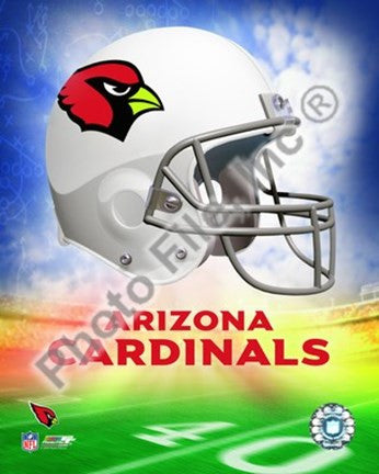 2009 Arizona Cardinals Team Logo