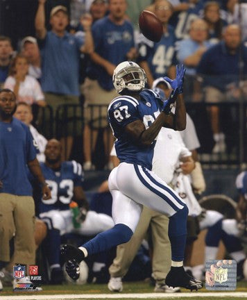 Reggie Wayne 2009 Action