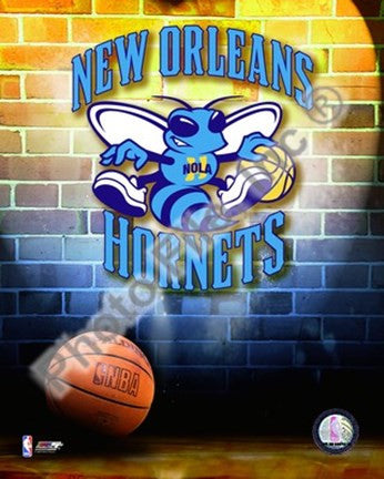 2009 New Orleans Hornets Team Logo