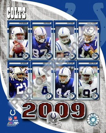 2009 Indianapolis Colts Team Composite