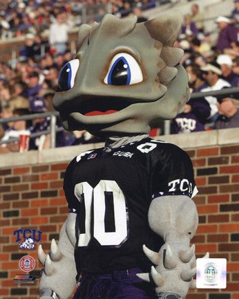 Texas Christian University Horned Frogs Mascot 2003