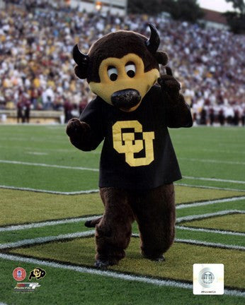 University of Colorado Buffaloes Mascot 2004