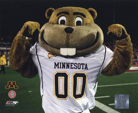 Mascot Goldy University of Minnesota Golden Gophers 2008