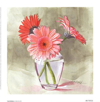 Coral Gerbera