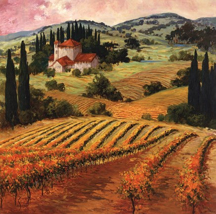 Dawn of a Tuscan Vineyard