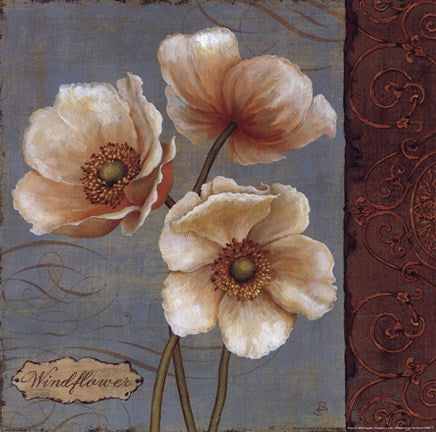 Windflower II