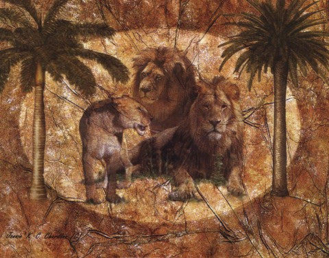 Jungle Lions