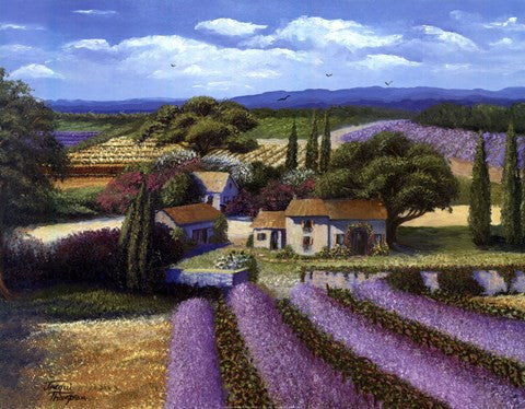 Lavender Fields