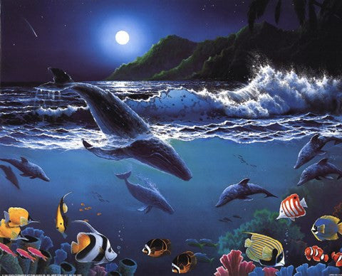 Moonlit Sealife