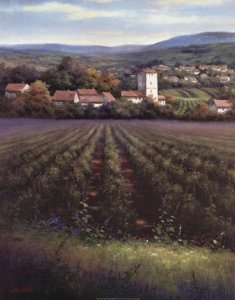 The Vineyard