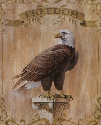 Eagle Freedom