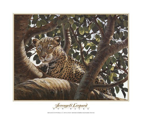 Serengeti Leopard