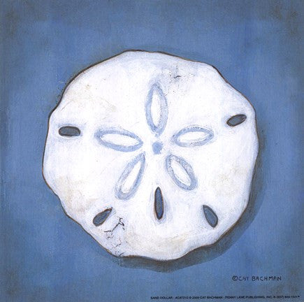 Sand Dollar