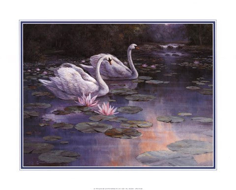 Swans and Waterfall