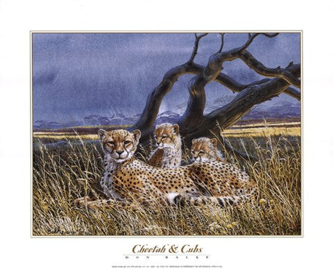 Cheetah and Cubs