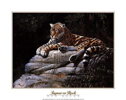 Jaguar on Rock