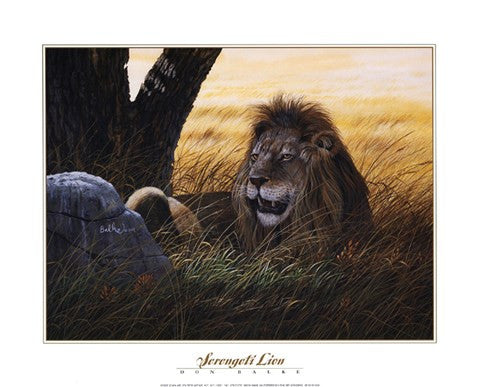 Serengeti Lion