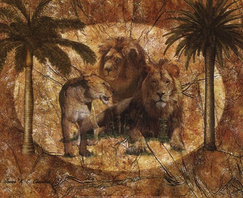 Jungle Lions