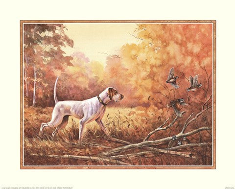 Hunting Dog