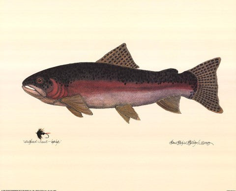 Steelhead Trout