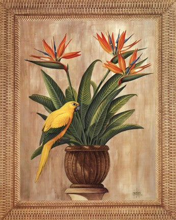 Bird of Paradise