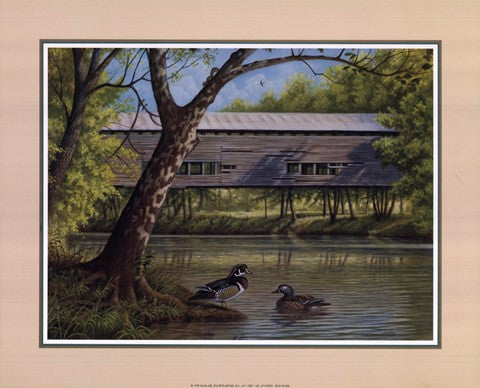 Covered Bridge With Ducks