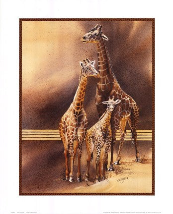 Family of Giraffes