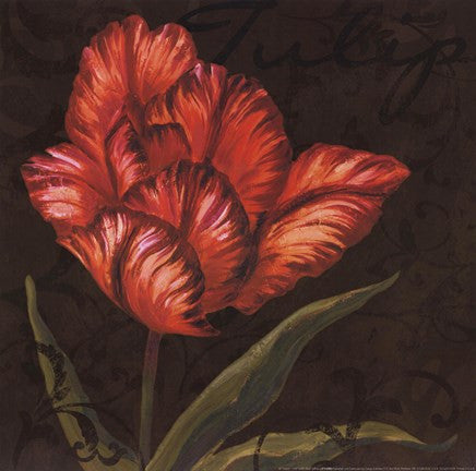 Tulipa I