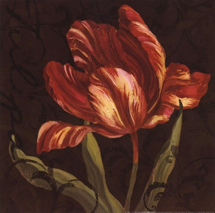 Tulipa II