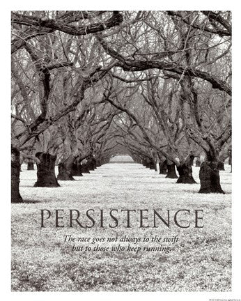 Persistence