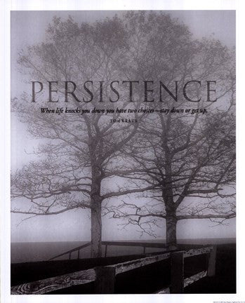 Persistance