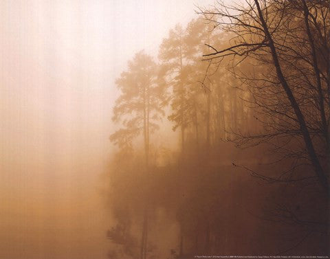 Fog on Shelly Lake I