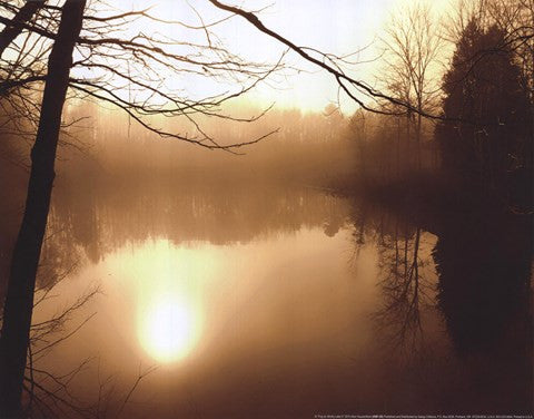 Fog on Shelly Lake II