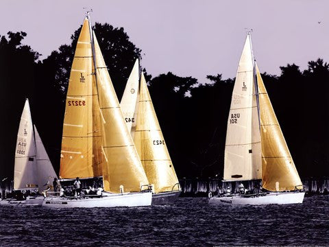 Race at Annapolis II