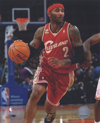 Mo Williams 2009-10 Action