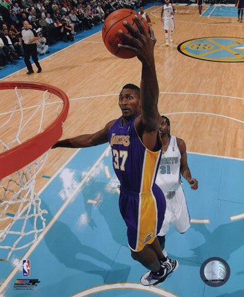 Ron Artest 2009-10 Action