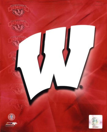 2009 University of Wisconsin Badgers Team Logo