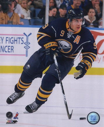 Derek Roy 2009-10 Action