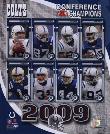 2009 Indianapolis Colts AFC Champions Team Composite