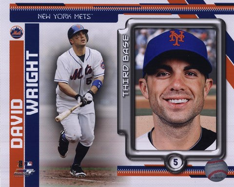 David Wright 2010 Studio Plus