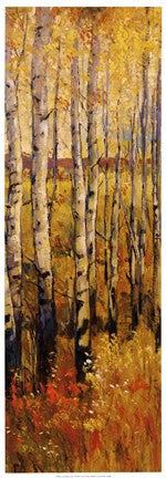 Vivid Birch Forest II