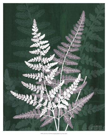 Jewel Ferns IV